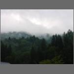 DSC01709.jpg