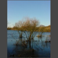 Schiermonnikoog053.jpg