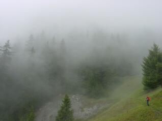 Wandern im Nebel