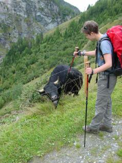 Arolla-Talweg